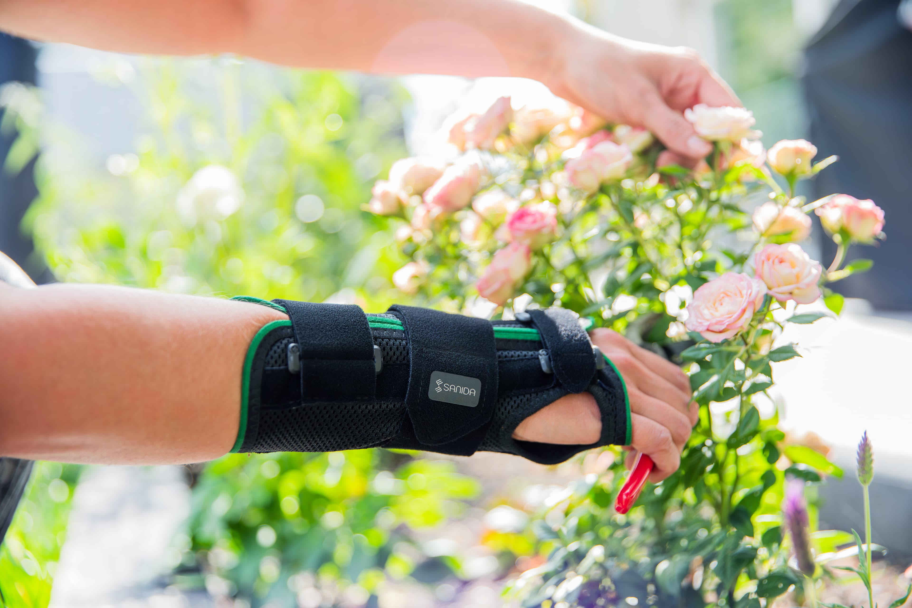 Vielfalt an Produkten der Handelsmarke Sanida